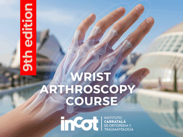 Wrist Arthroscopy Course – 9th edition